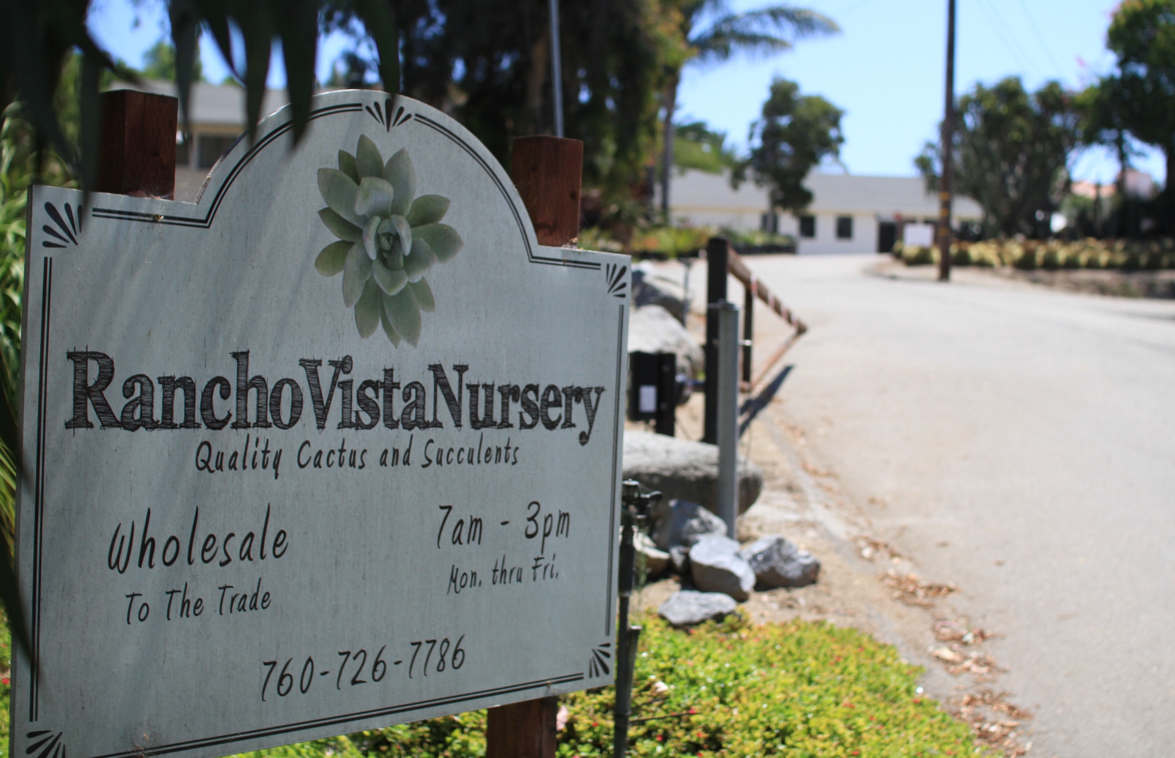 Rancho Vista Nursery in Vista, California. Quality cactus and succulents sold wholesale to the trade and public.